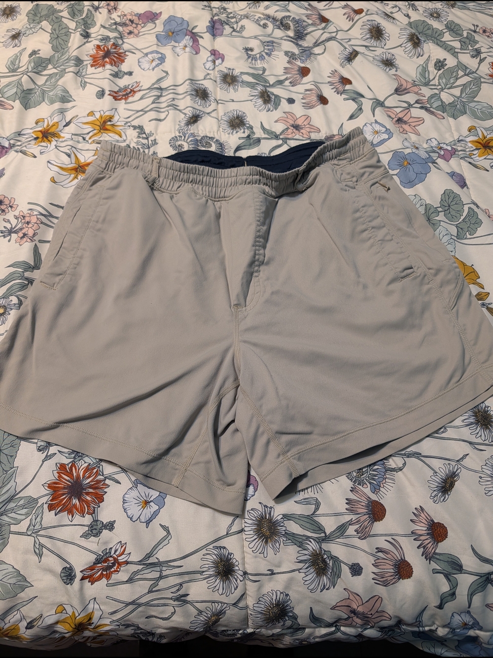 Birddogs Men's Light Gray Athletic Shorts